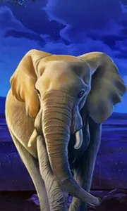 African Elephant